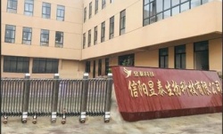 祝賀信陽昱泰生物科技有限公司2022年快速通過BV-DISNEY驗廠